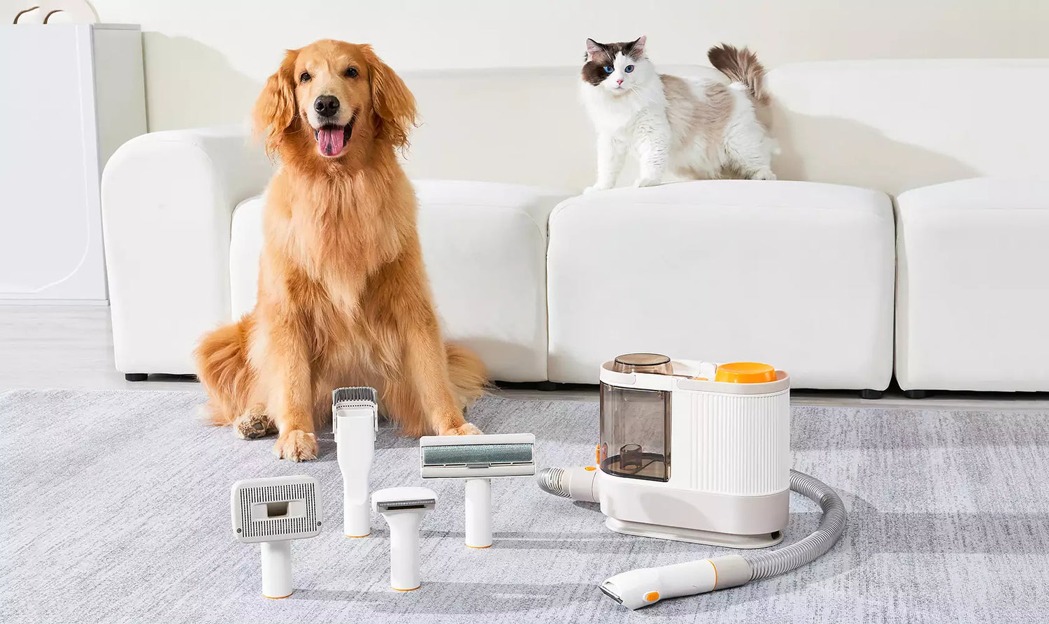 PalFur HEPA: Revolutionizing Pet Grooming With Advanced Filtration