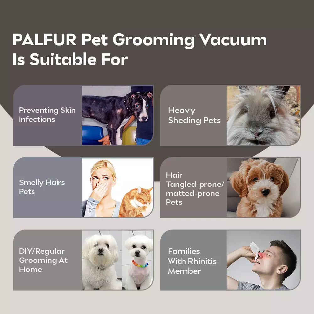 PalFur IN01 Pet Grooming Vacuum Kit