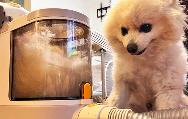 PalFur | 5-In-0ne Professional IN-HOME Pet Grooming Vacuum Kit
